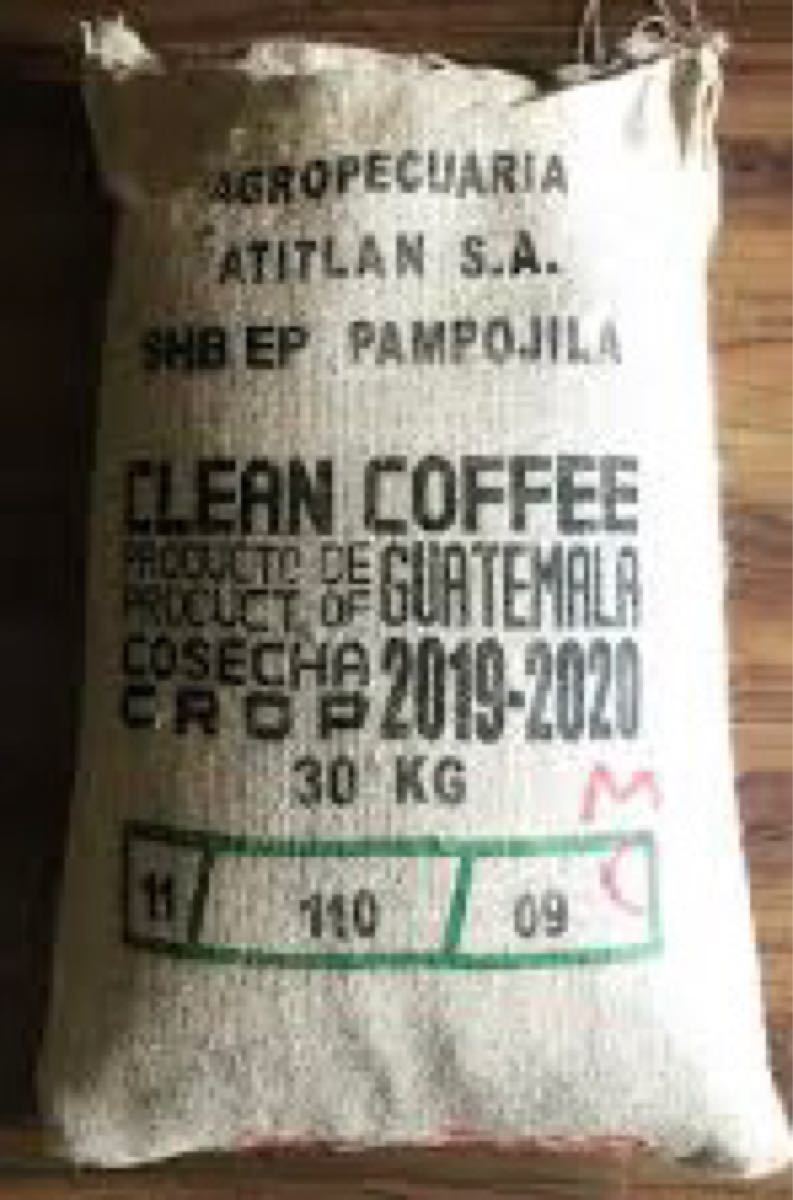 【コーヒー生豆】グアテマラ SHB  900g　 ※送料無料