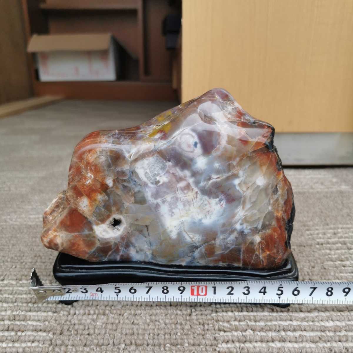 アリゾナ産珪化木1.3キロ 木化石化石鑑賞石石置物オブジェインテリア