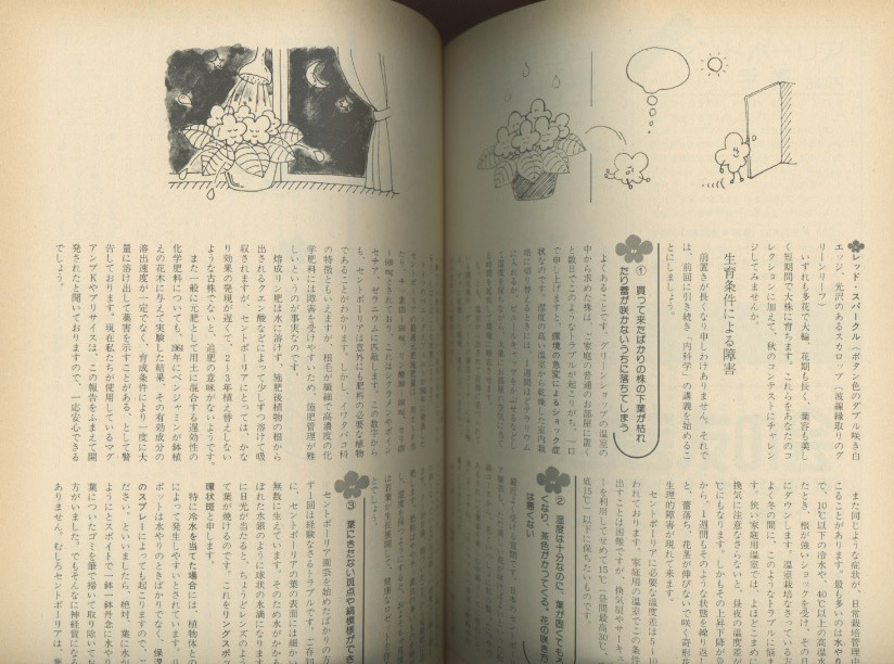 ■北国の園芸　1980.5月号　［特集：ツツジ&サツキ／鉢で楽しむ春植え球根他］検：ジムカデ・セントポーリア_画像3