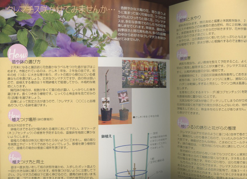# gardening legume illustrated reference book special collection number clematis ( appendix [ clematis. .. person ] attaching ) inspection : Jack ma knee * iron line *ka The gruma