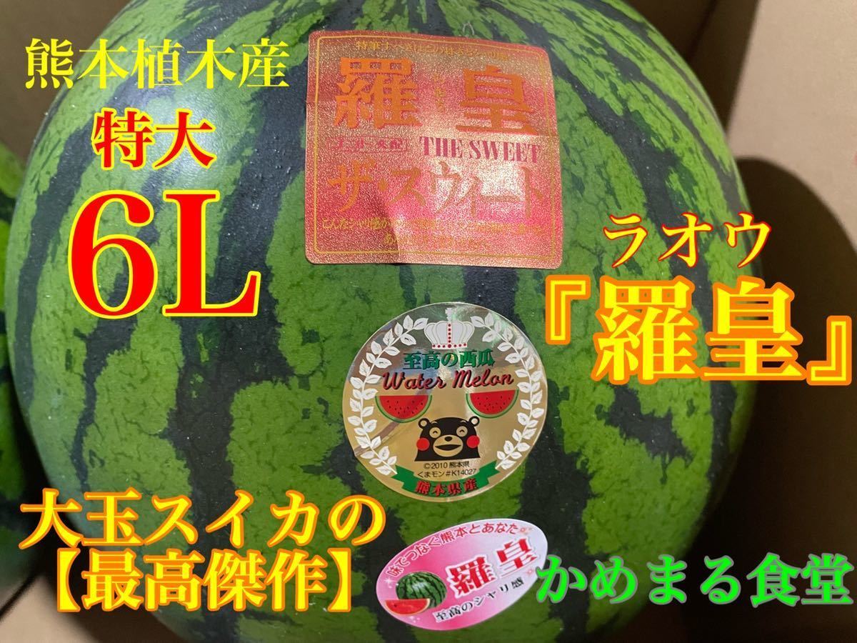 スペシャルセット!【送料無料】超豪華今だけセット!【金色羅皇&羅皇