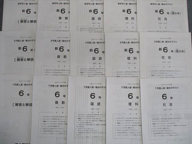 有名なブランド サンデー サピックス 難関校 ＳＳ特訓 ６年算数 開成