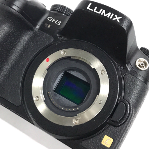 1円 Panasonic LUMIX DMC-GH3 G VARIO 1:3.5-5.6/14-42 ミラーレス一眼カメラ ボディ レンズ パナソニック C4337_画像7