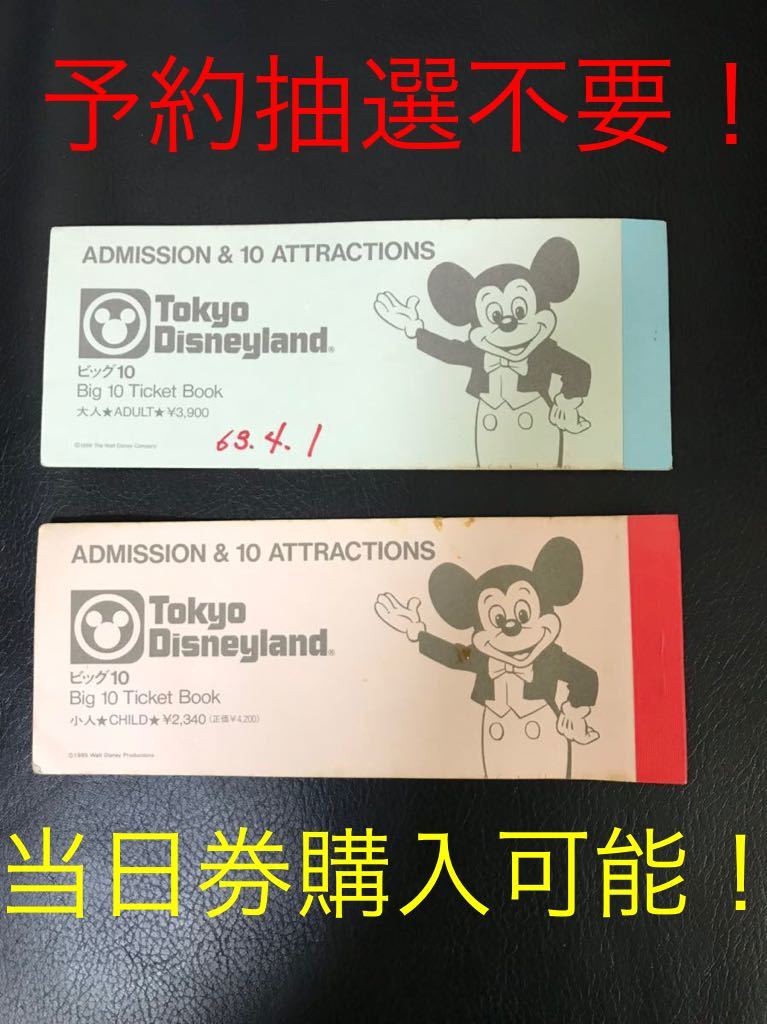 東京ディズニーランド ビッグ10 チケット　パスポート　２枚　送料無料_画像1