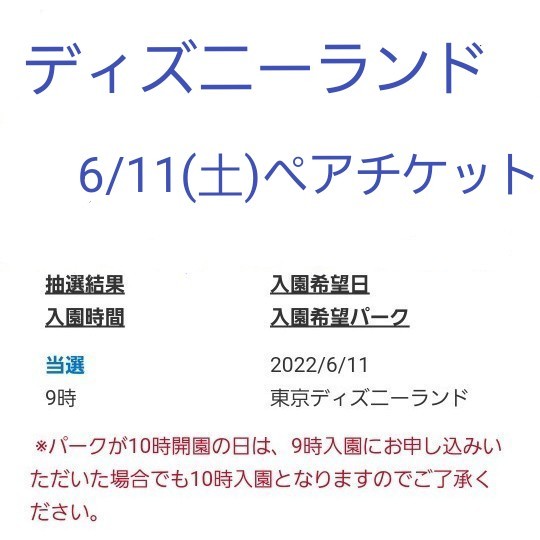 ファッション通販 6月11日 土 2枚 東京ディズニーランド 9時入園当選済 6 11 チケット ディズニー その他イベント Reachahand Org