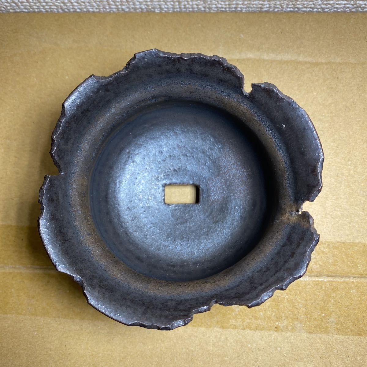 goujin 鉢 豪人 検索)ボタナイズ botanize goujin 鉢 豪人 検索)ボタナイズ botanize