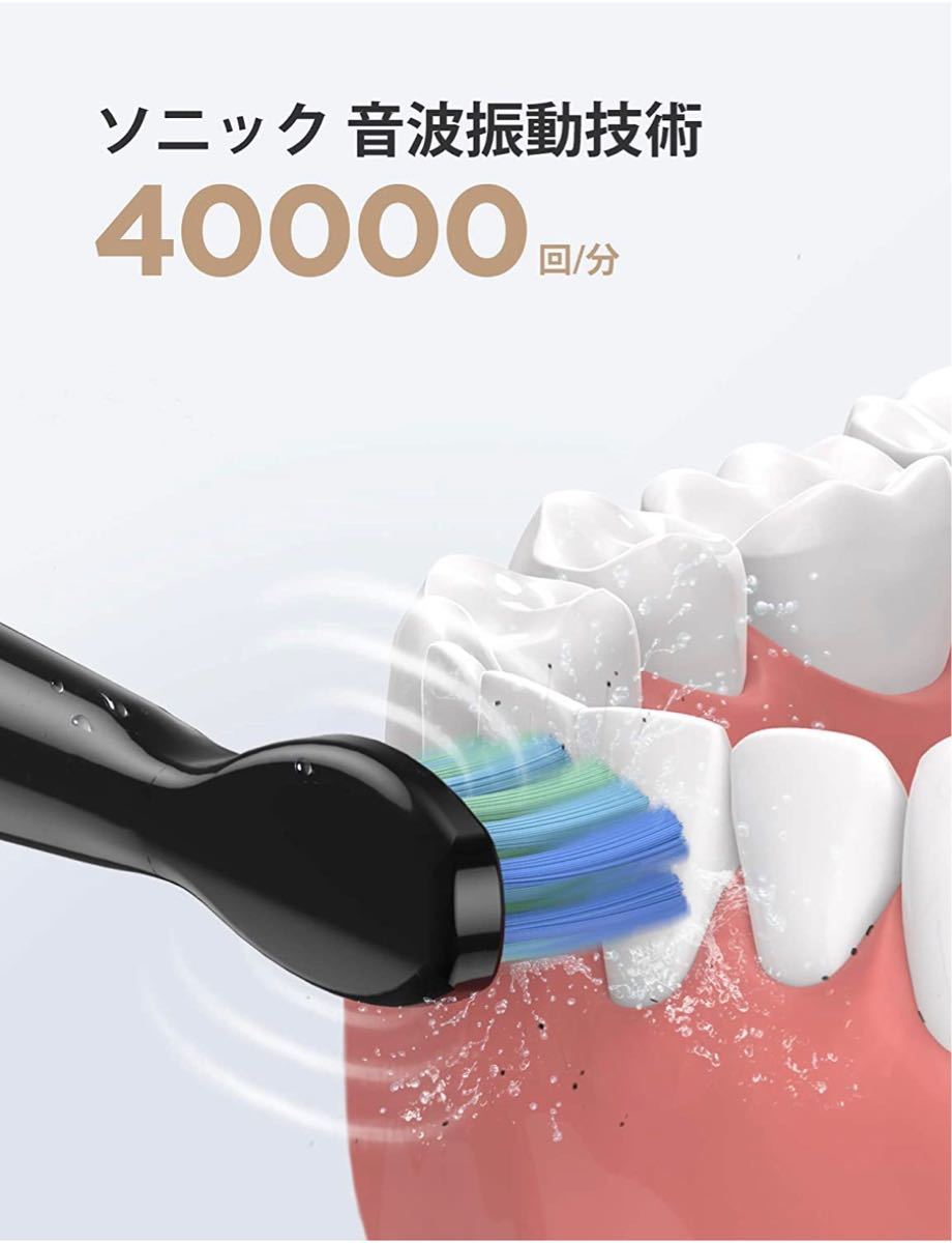 電動歯ブラシ 歯ブラシ 音波歯ブラシ 替えブラシ8本 ケース付き IPX7防水