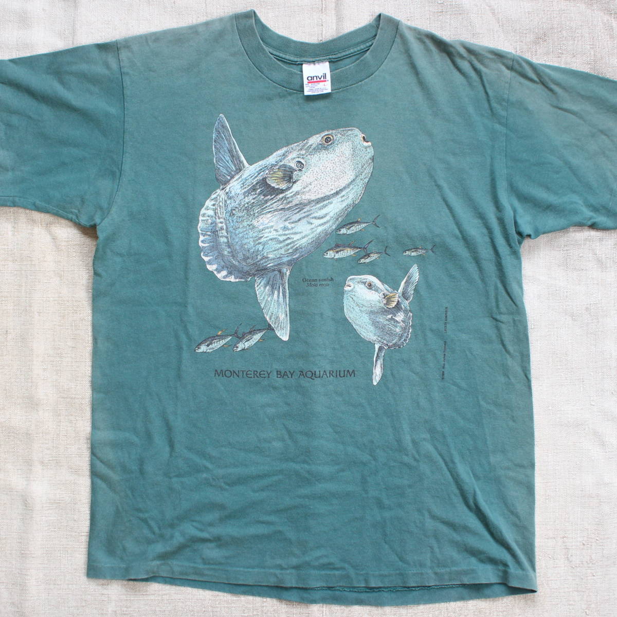 1998年 モントレーベイ アクアリウム マンボー ヴィンテージTシャツ USA アメリカ 水族館 フグ 魚 フィッシュ 古着anvilフェード アート_画像1