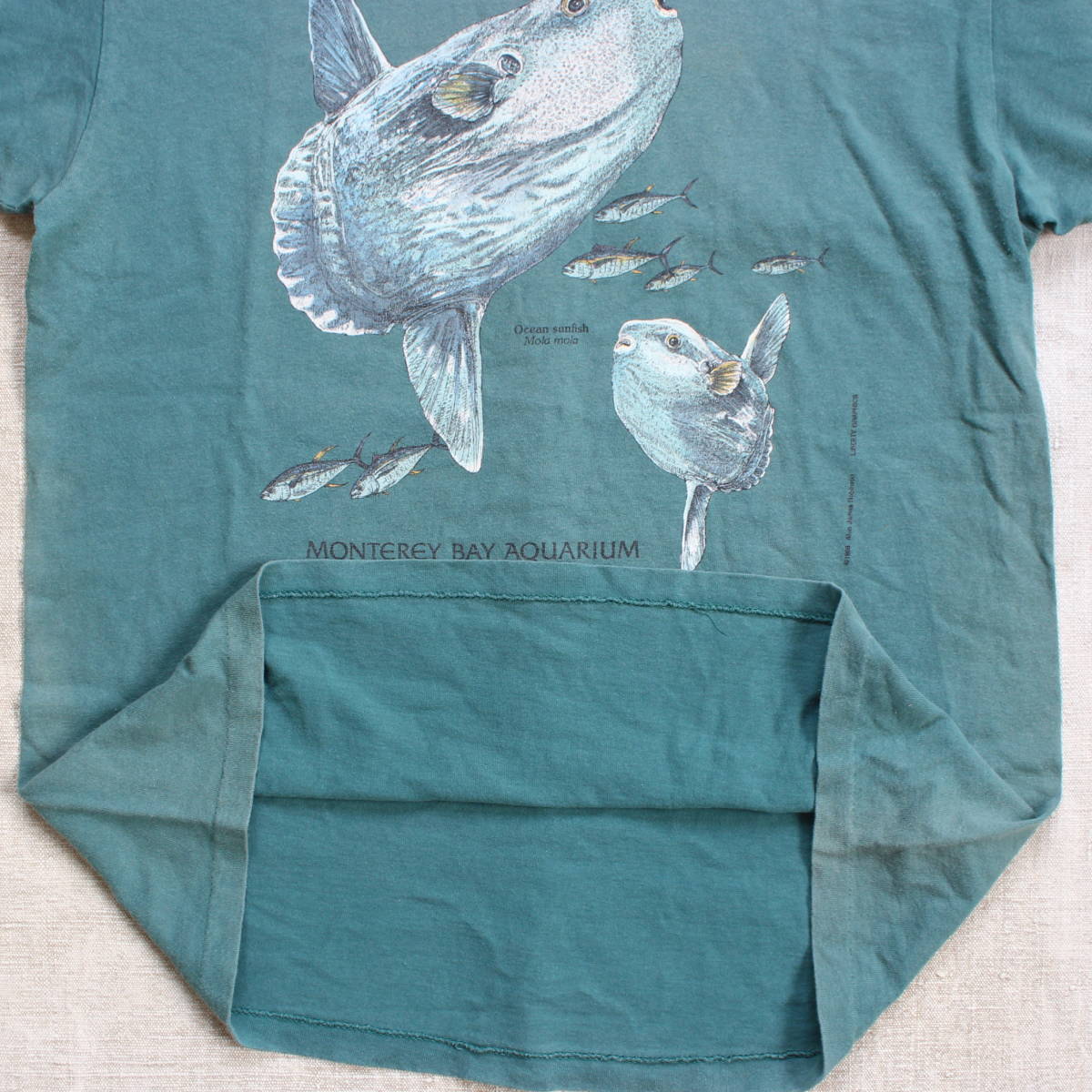 1998年 モントレーベイ アクアリウム マンボー ヴィンテージTシャツ USA アメリカ 水族館 フグ 魚 フィッシュ 古着anvilフェード アート_画像5