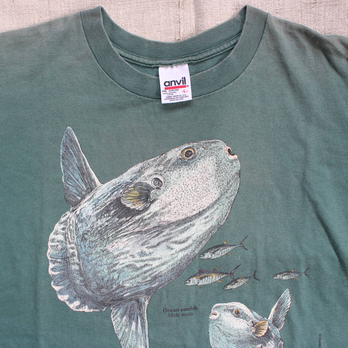 1998年 モントレーベイ アクアリウム マンボー ヴィンテージTシャツ USA アメリカ 水族館 フグ 魚 フィッシュ 古着anvilフェード アート_画像7