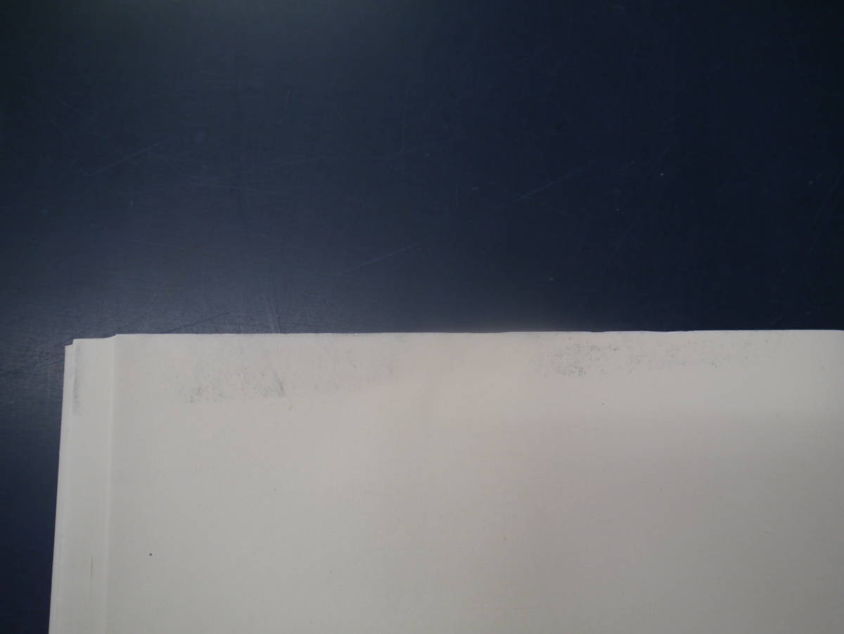 P2205K5 希少古い画仙紙 四君子 臨安社 163×43㎝ 50枚×2反 4