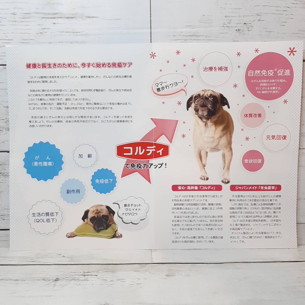 新品・即決・送料込】 コルディ G 100g 大容量 サイズ 犬 猫 小動物 用