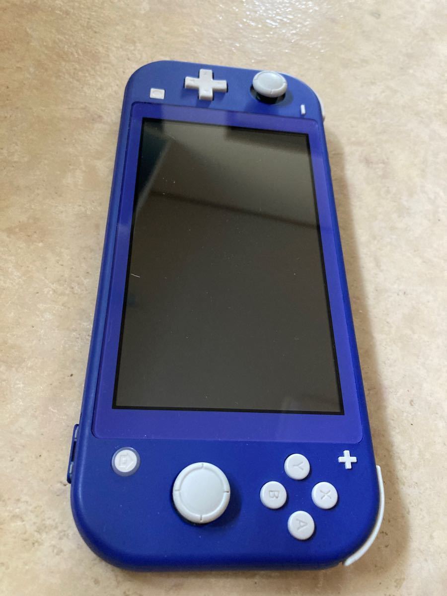 Nintendo switch light 中古美品 DBDソフト付き+おまけセット Nintendo switch light 中古美品 DBDソフト付き+おまけセット