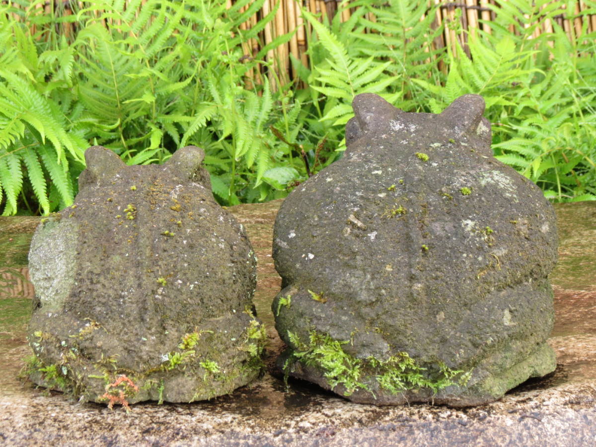  parent . bulrush length 24.,20.. garden stone Kyushu production natural stone 