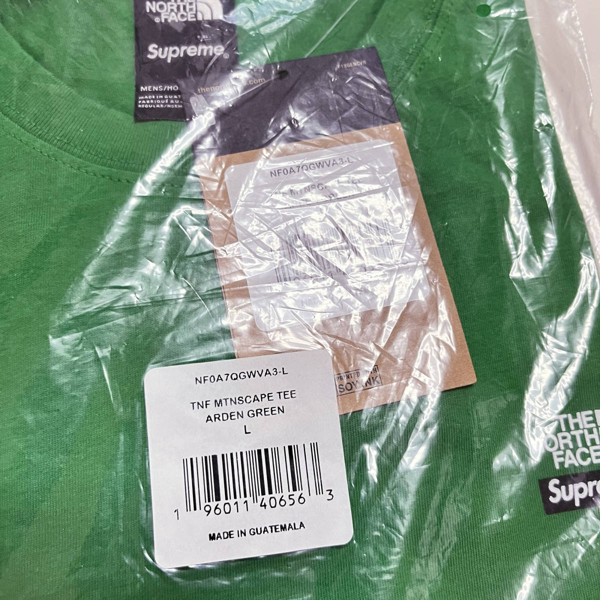 【Lサイズ】Supreme The North Face Mountains S/S Top Green シュプリーム ザ・ノース・フェイス マウンテン Tシャツ グリーン_画像2