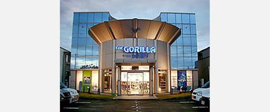 カナモリゴリラ愛好會★GORILLA To-Be ARMA INFINITY ロフト角10.5°ドライバー ヘッド単品★全國一律定形外450円OK