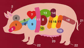 焼肉応援セール！！北海道産豚小腸 新鮮 冷蔵!! 国産 豚ホルモン1kg×2！！10kg迄送料同額にて同梱可能！！_日々の食卓から免疫力アップに努めましょう