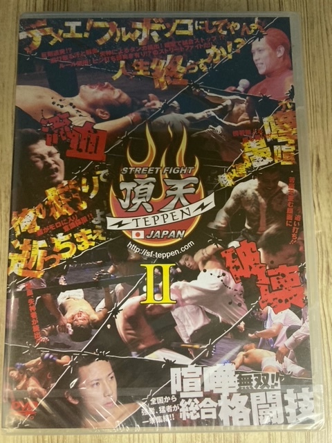 ら94-2　新品未開封 DVD 　STREET FIGHT 頂天II TEPPEN JAPAN_画像1