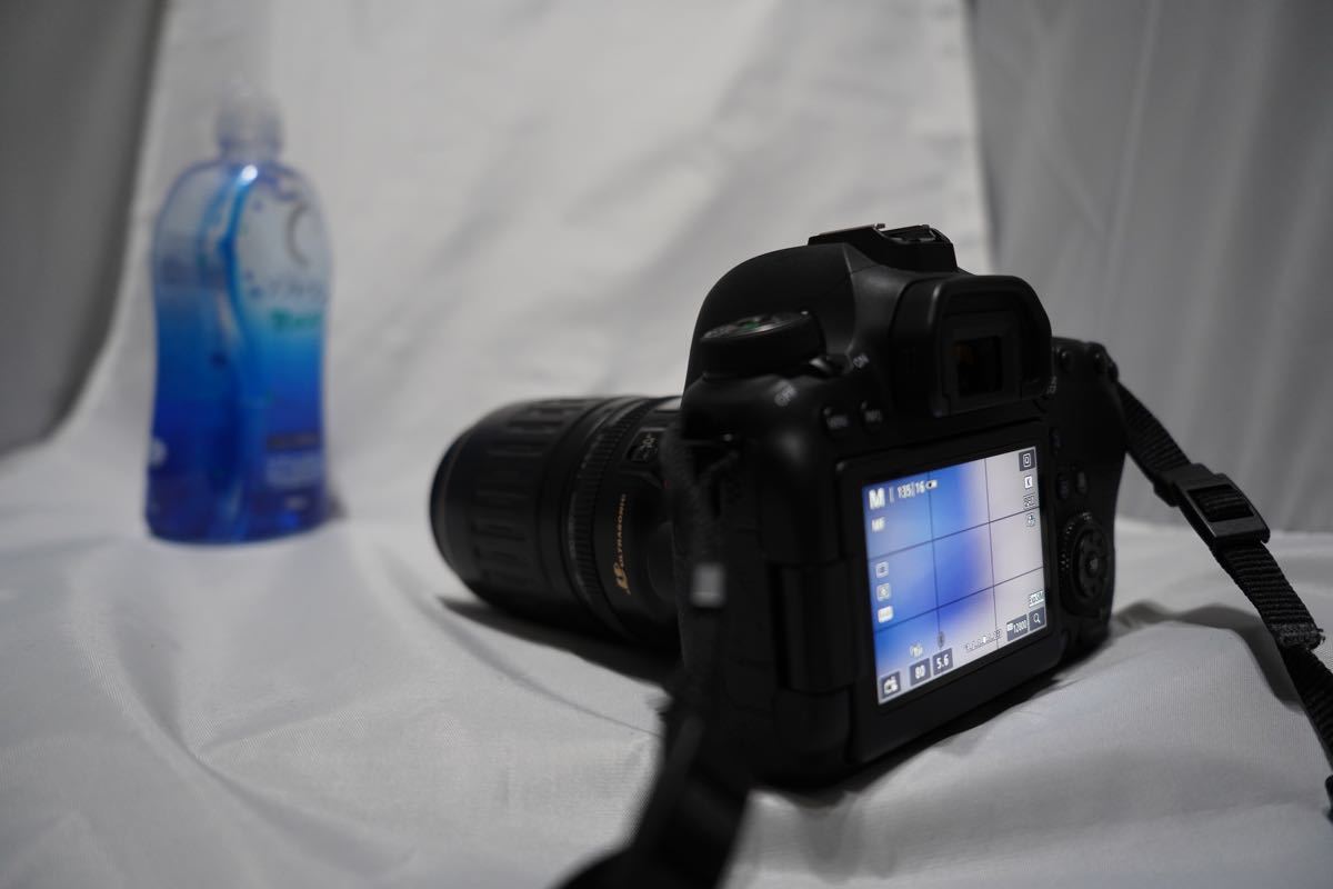 Canon EF 100-300mm f/4.5-5.6 望遠ズームレンズ opal.bo
