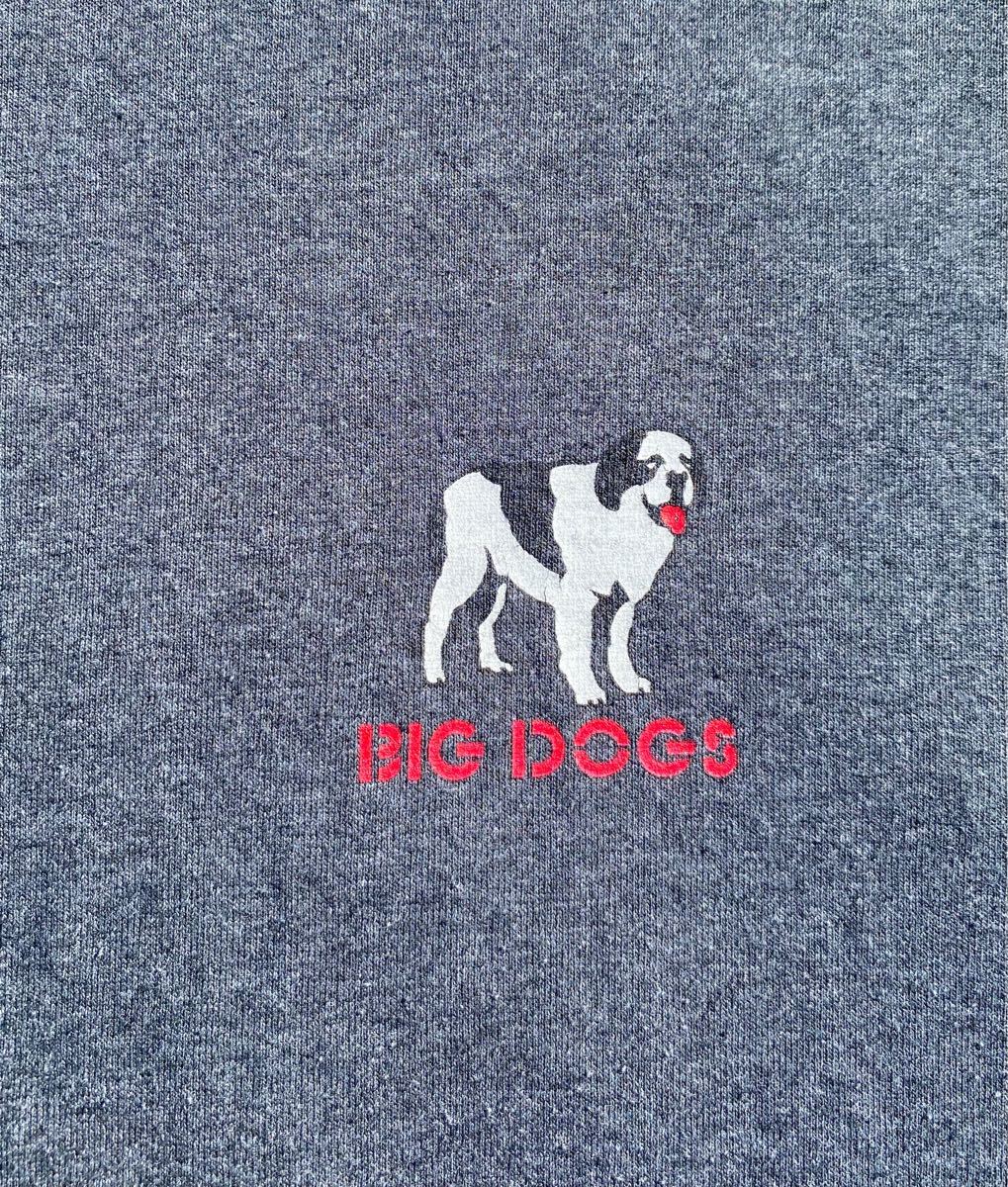 BIG DOGS Tシャツ　ビッグドッグス　犬　ヴィンテージ　ビンテージ　古着