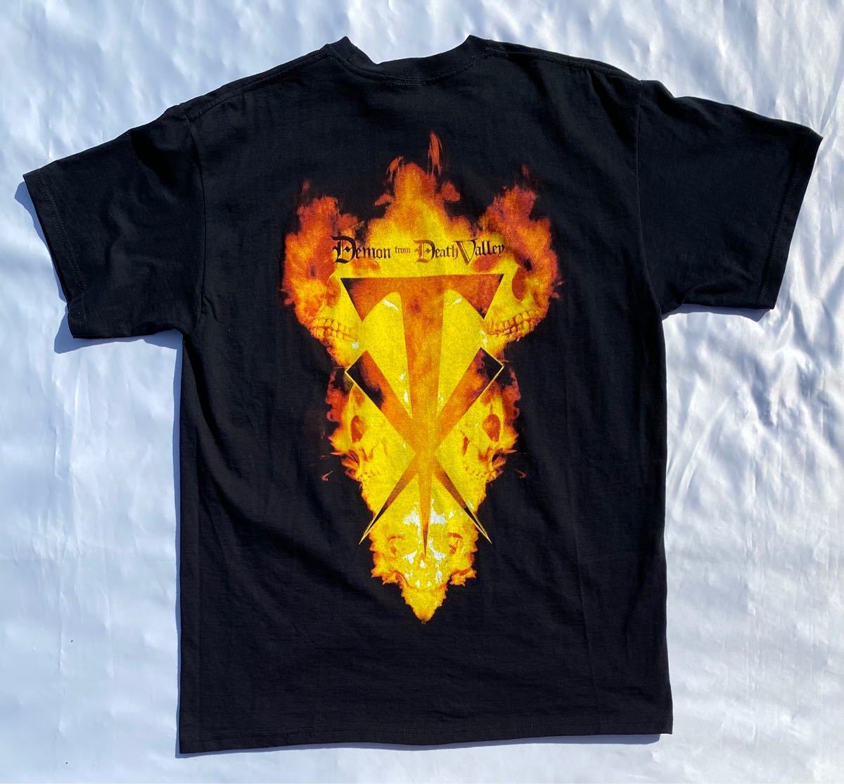 Undertaker Tシャツ アンダーテイカー WWE ヴィンテージ 古着 Undertaker Tシャツ アンダーテイカー WWE ヴィンテージ 古着