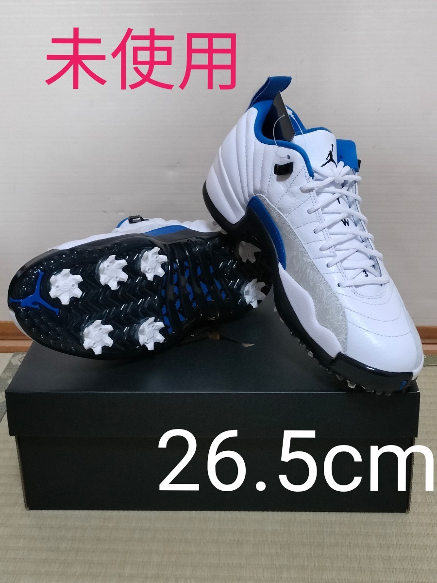 27cm エアジョーダン12 白青 フレンチブルーJORDAN タイガー pa