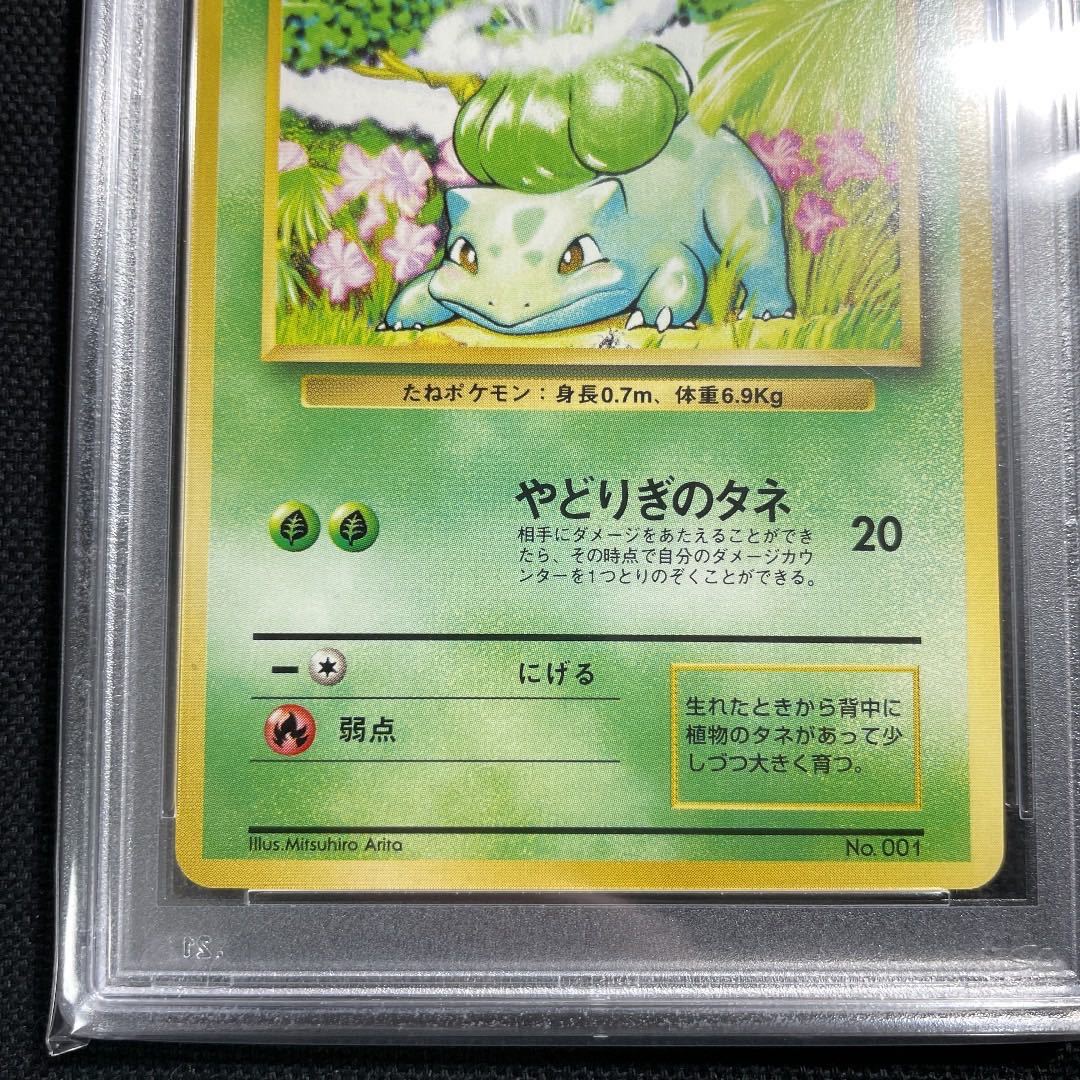 在庫限り】 フシギダネ マーク無し 初版 旧裏面 ポケモンカード