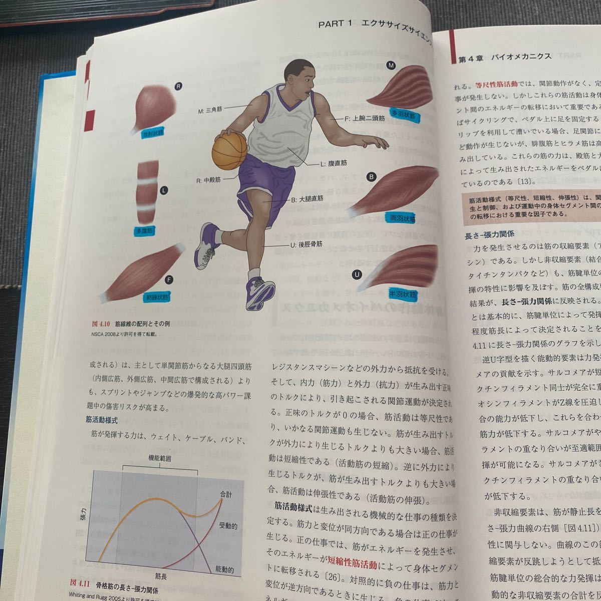 NSCAパーソナルトレーナーのための基礎知識 第2版|Yahoo!フリマ NSCAパーソナルトレーナーのための基礎知識 第2版|Yahoo!フリマ
