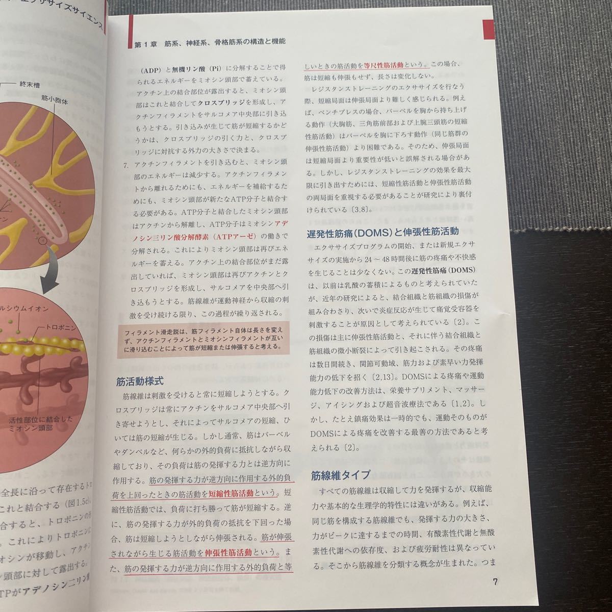 Amazon.co.jp: NSCAパーソナルトレーナーのための基礎知識 第2版 Amazon.co.jp: NSCAパーソナルトレーナーのための基礎知識 第2版