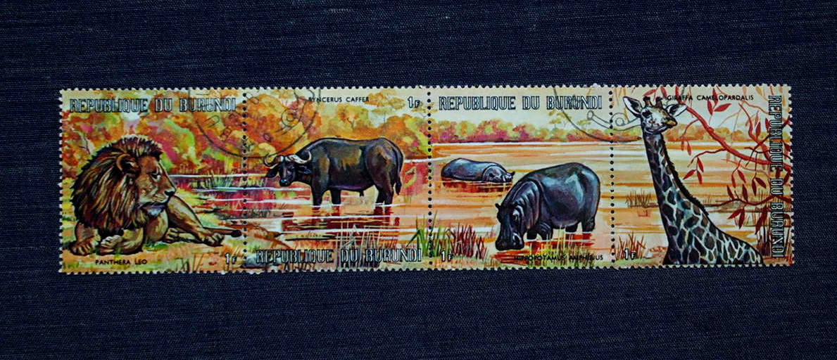 brunji stamp Africa n* animal 4 kind ream .. seal lion, water cow, hippopotamus, giraffe 1971 year 