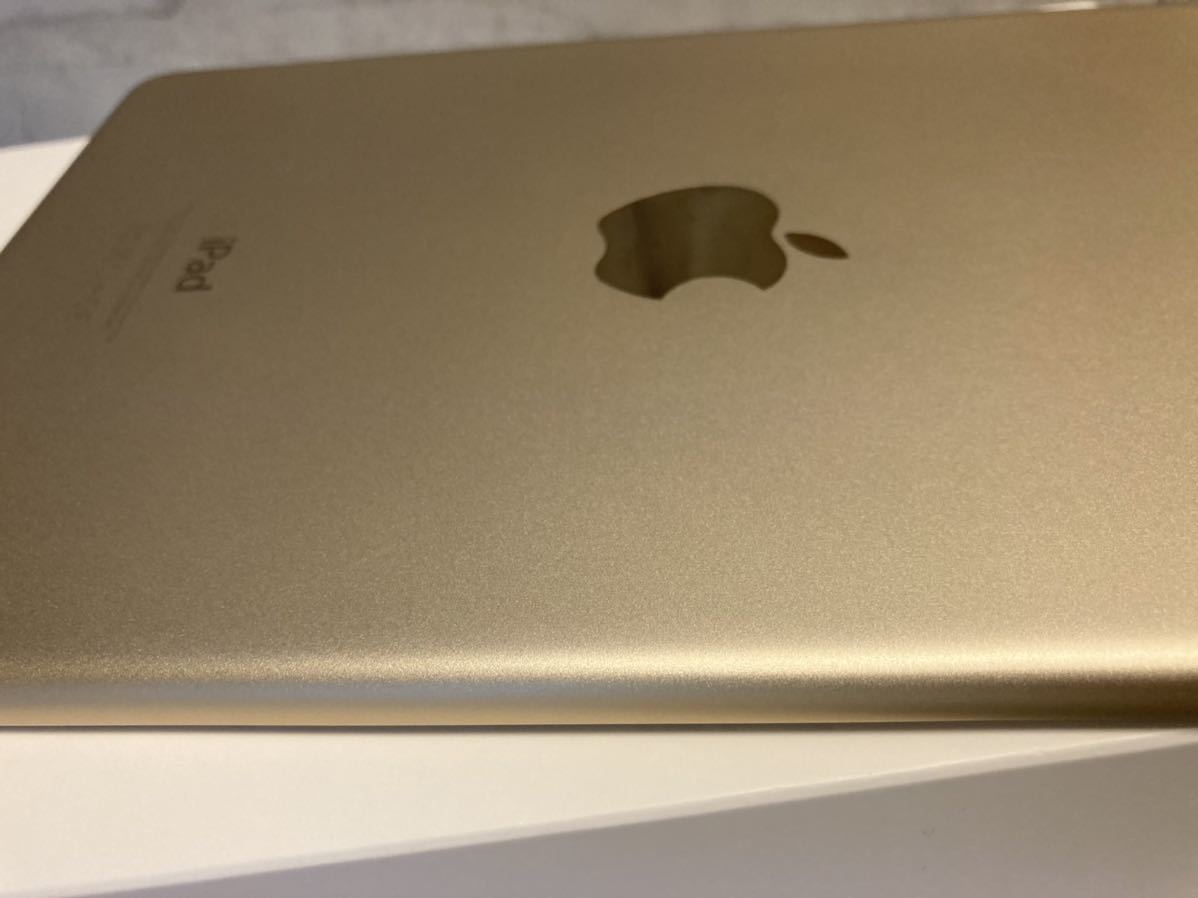 Apple iPad mini４ ゴールド 16GB Wi-Fiモデル 美品_画像6