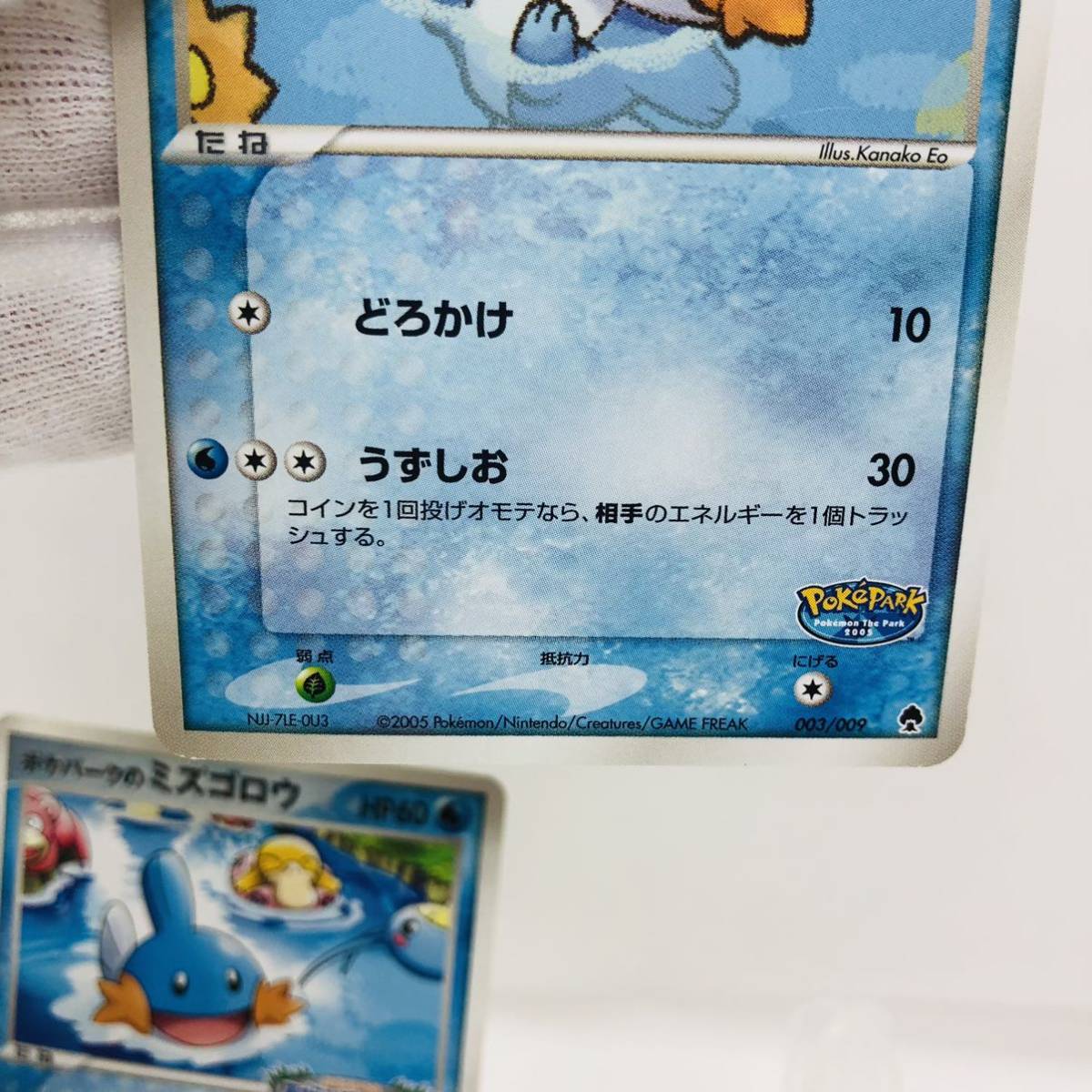 ポケモンカード ポケパークのミズゴロウ 2枚セット|Yahoo ポケモンカード ポケパークのミズゴロウ 2枚セット|Yahoo