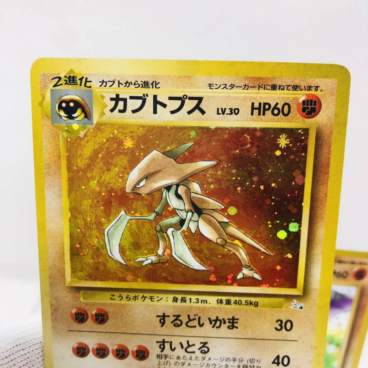 ポケモンカード 旧裏面 旧裏 プテラ カブトプス セット売り ポケモンカード 旧裏面 旧裏 プテラ カブトプス セット売り