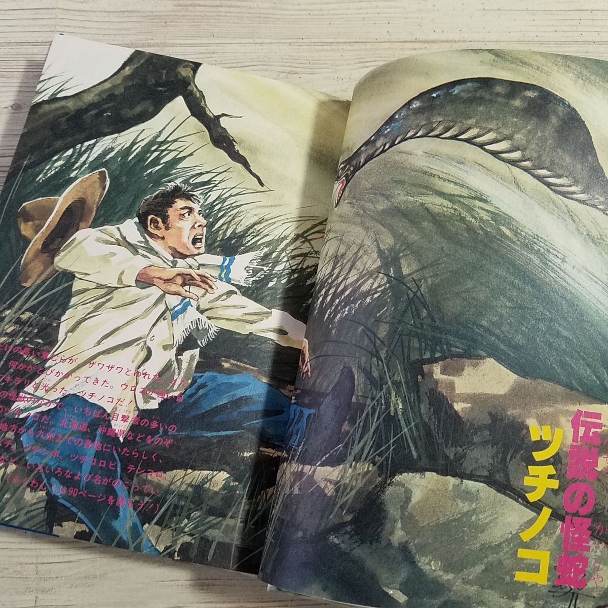 図鑑[ジャガーバックス なぞの怪獣大図鑑 : ネッシーから雪男 図鑑[ジャガーバックス なぞの怪獣大図鑑 : ネッシーから雪男