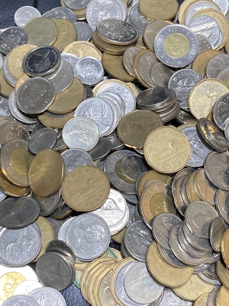 1円スタート カナダ カナダドル硬貨 1ドル 2ドル硬貨 おまとめ 2ドル Www Splashecopark Com Br 1円スタート カナダ カナダドル硬貨 1ドル 2ドル硬貨 おまとめ 2ドル Www Splashecopark Com Br