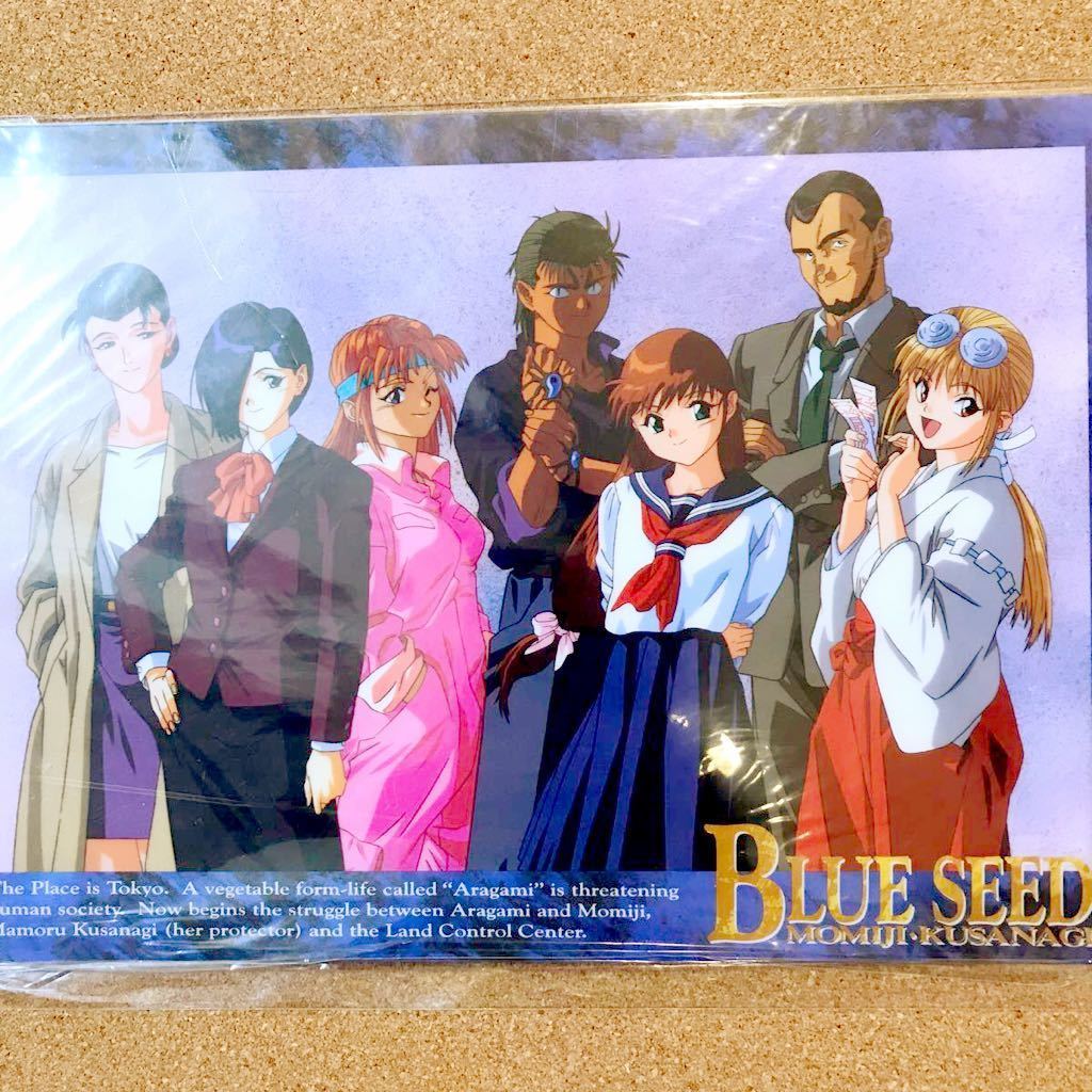 【送料無料】BLUE SEED ブルーシード　藤宮 紅葉 草薙 護 山咲 桜 他　下敷き_画像1