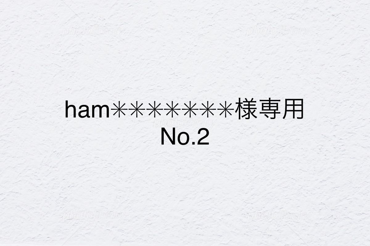 ham様専用 No.2