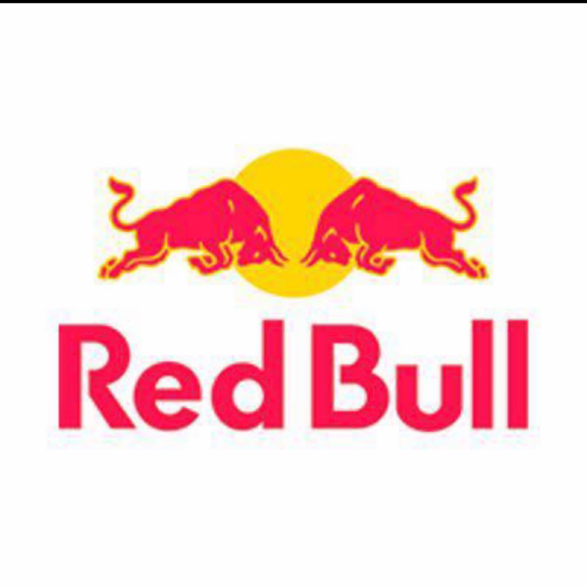 Red Bull エナジードリンク250ml24本&Red Bull sugar free250ml24本　　計48本