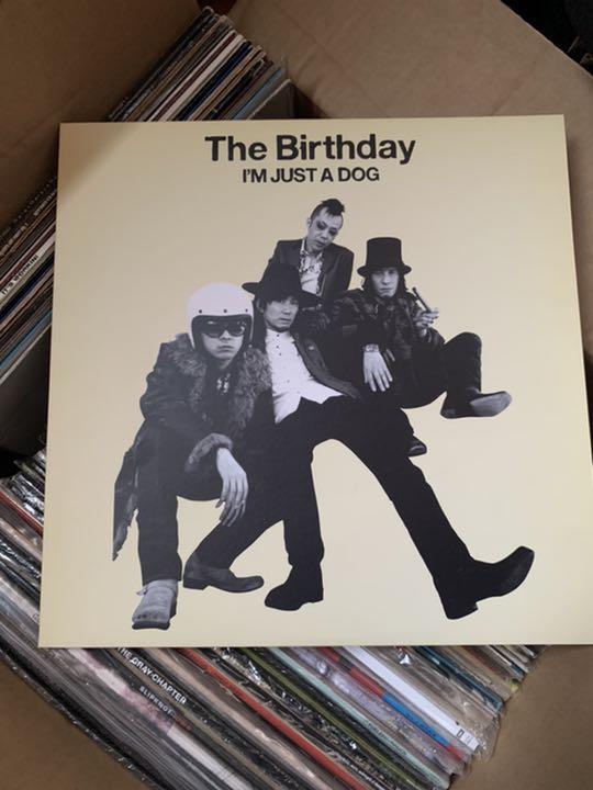 the birthday i'm just dog レコード チバユウスケ CD、レコード、音楽