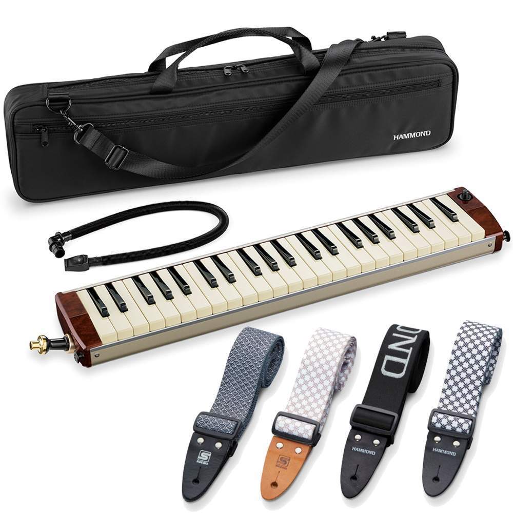 ☆SUZUKI スズキ HAMMOND PRO-44Hv2 ピックアップマイク内蔵 エレアコ