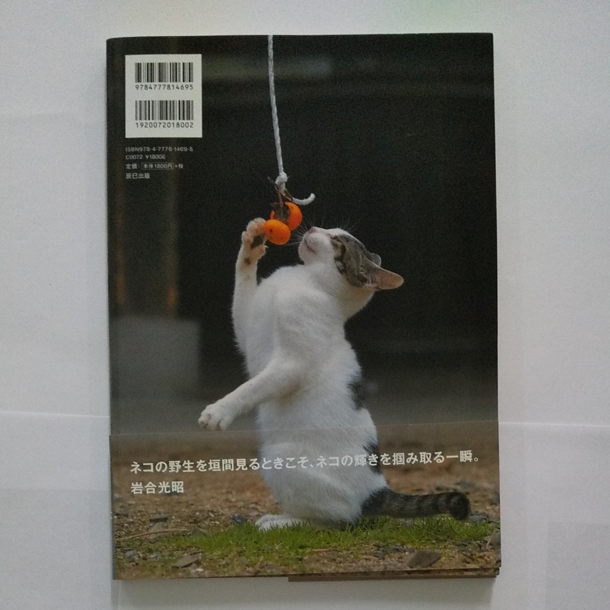岩合光昭「ねこ輝く」「そっとネコぼけ」「地中海の猫」3冊 岩合光昭「ねこ輝く」「そっとネコぼけ」「地中海の猫」3冊