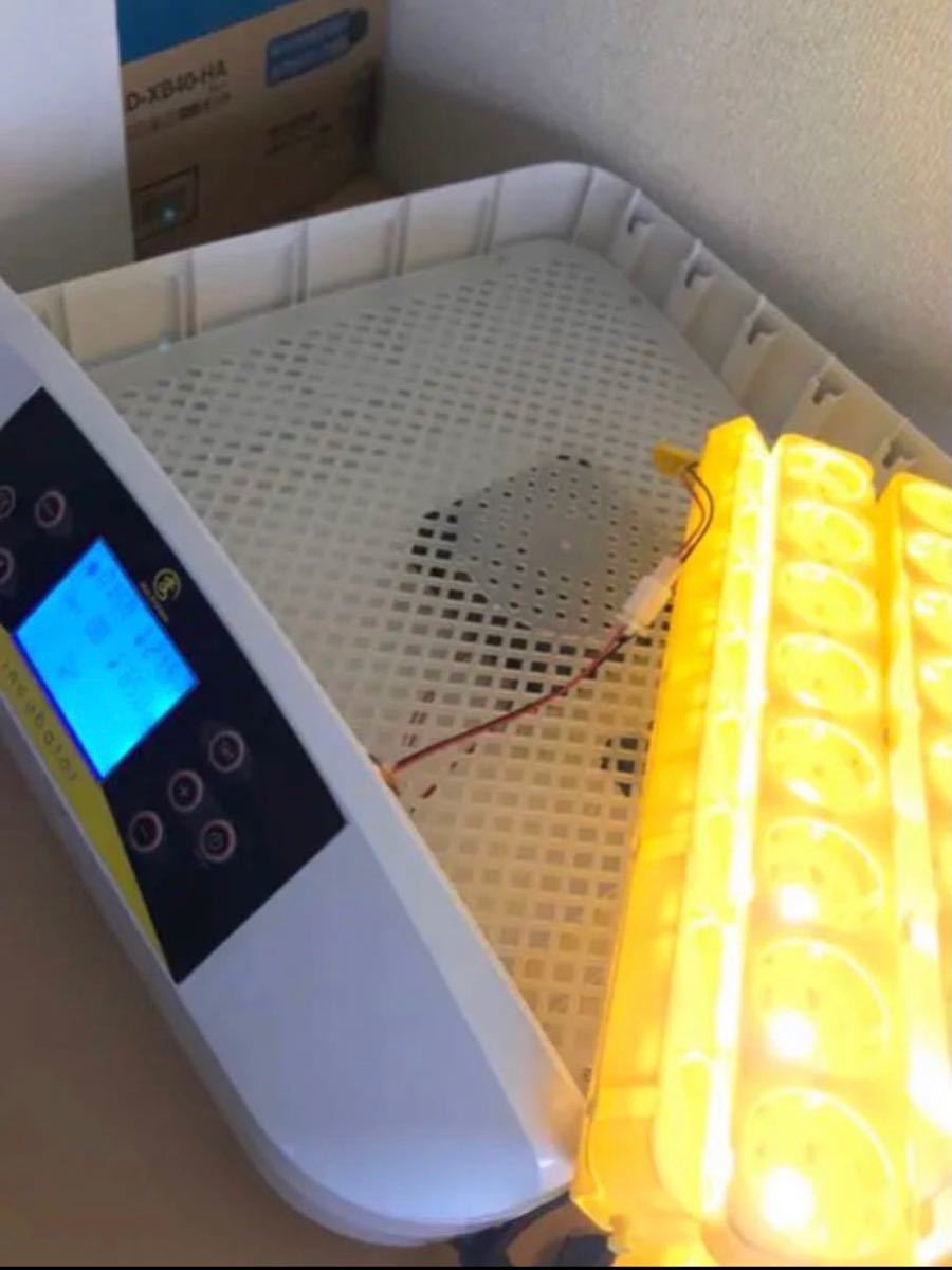 自動転卵 孵化器 インキュベーター LED 鳥類専用孵卵器 孵化器 ふ化器