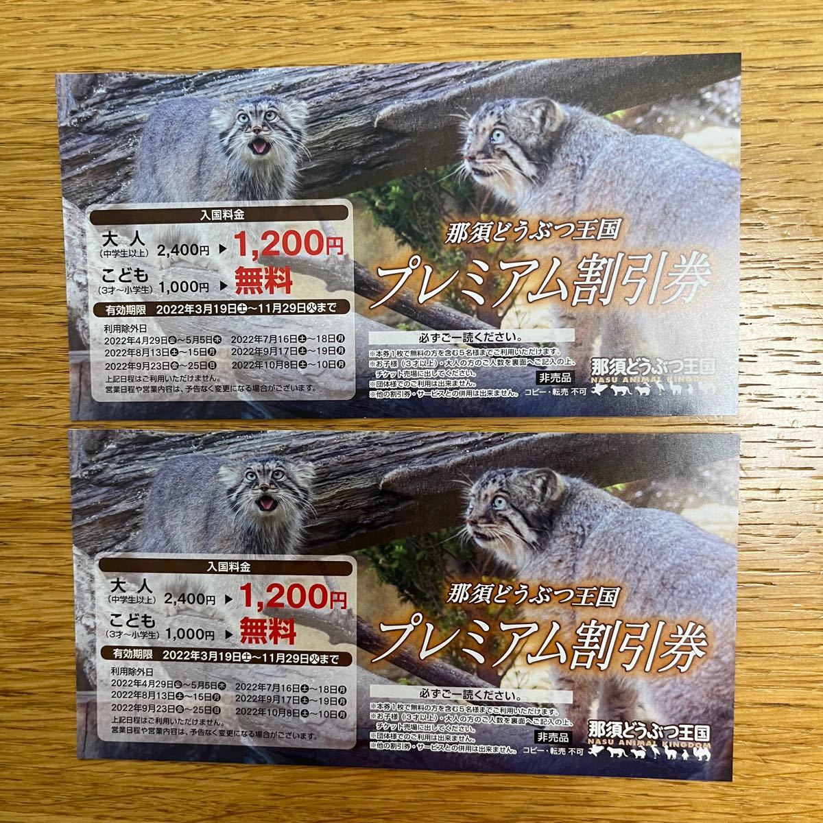 那須どうぶつ王国 割引クーポン 最高6,000円割引き | www.scoutlier.com