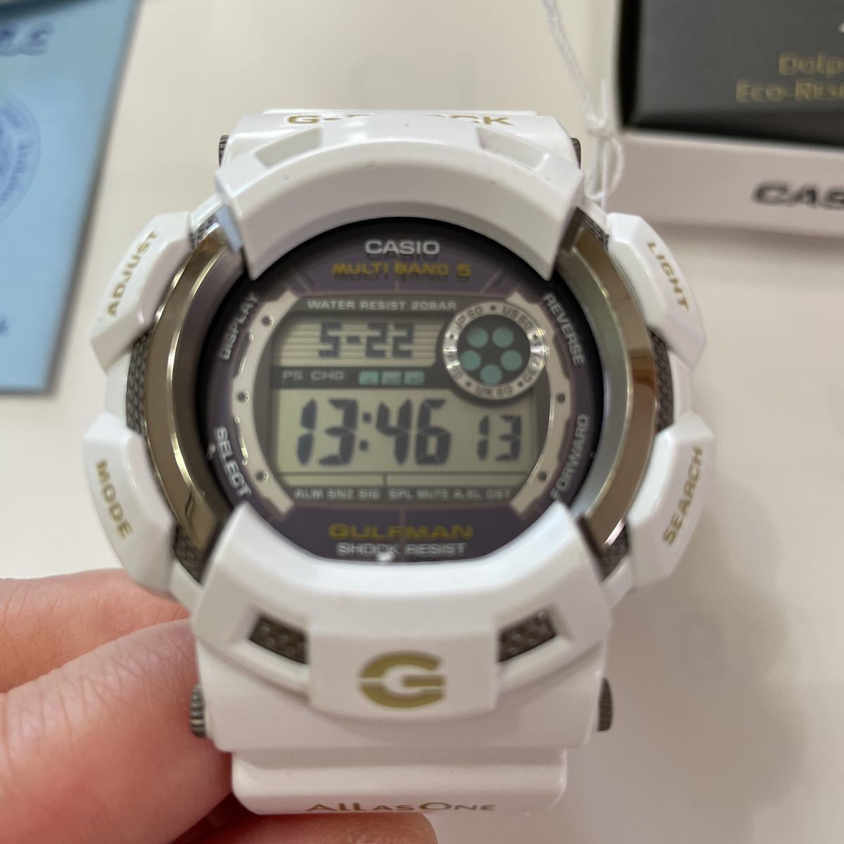 G-SHOCK CASIO イルカクジラ I.C.E.R.C エコリサーチ ガルフマン GW