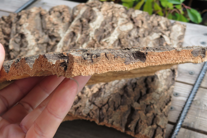 特価　１枚　樹皮　コルク板　20×30ｃｍ（厚約10ｍｍ以下）洋蘭　原種　チランジア　エアープランツ　熱帯植物　ラン　コルク　樹皮　_画像3