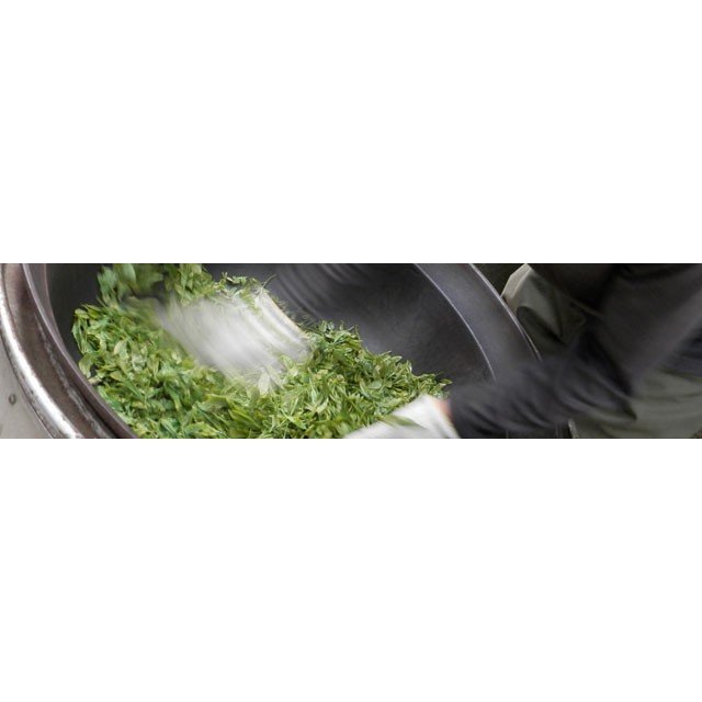 3個セット　宮崎茶房　有機粉末茶 食べる緑茶 70g、有機JAS認定、無農薬栽培_画像3