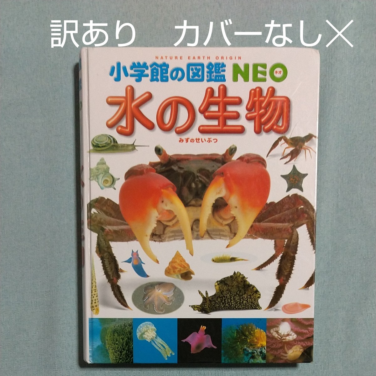 【カバーなし　訳あり】小学館の図鑑NEO　水の生物