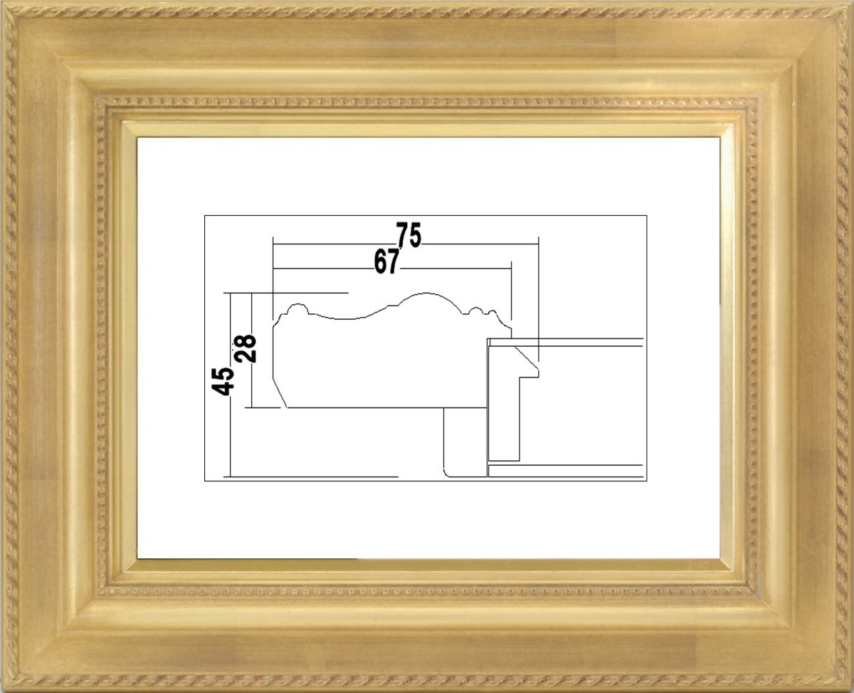 額縁 油絵/油彩額縁 樹脂製フレーム アクリル付 7746 サイズ F10号