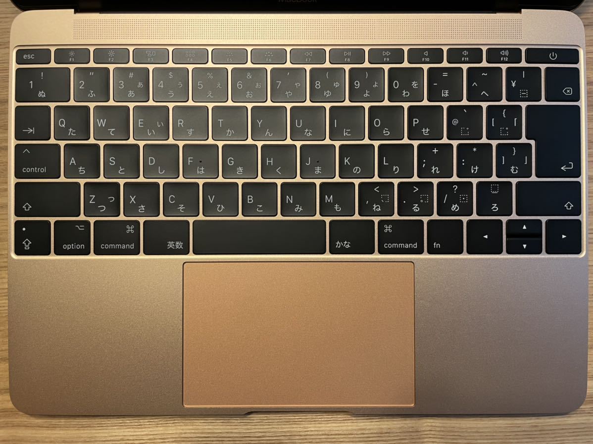 超美品 Apple MacBook 2017 12インチ12-inch Core i7 メモリ16GB 超美品 Apple MacBook 2017 12インチ12-inch Core i7 メモリ16GB