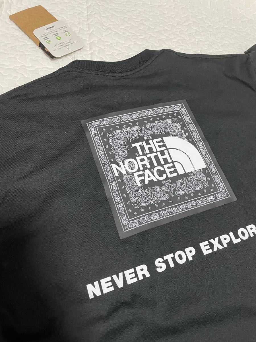 THE NORTH FACE ノースフェイス 半袖Tシャツ
